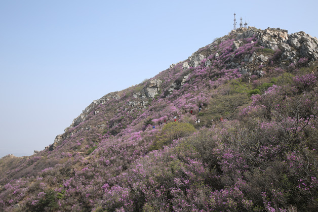 �°�ʤ���š�(�й���)�¹ٷ���վ