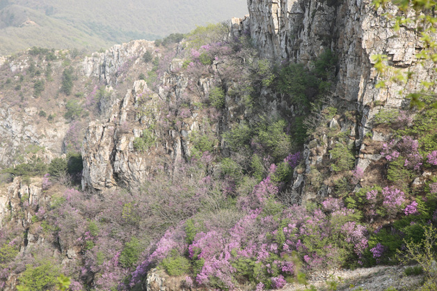 �°�ʤ���š�(�й���)�¹ٷ���վ