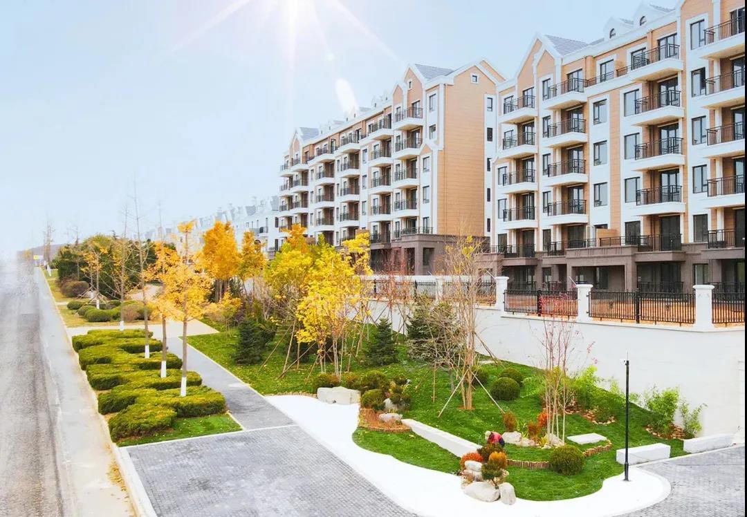 �°�ʤ���š�(�й���)�¹ٷ���վ