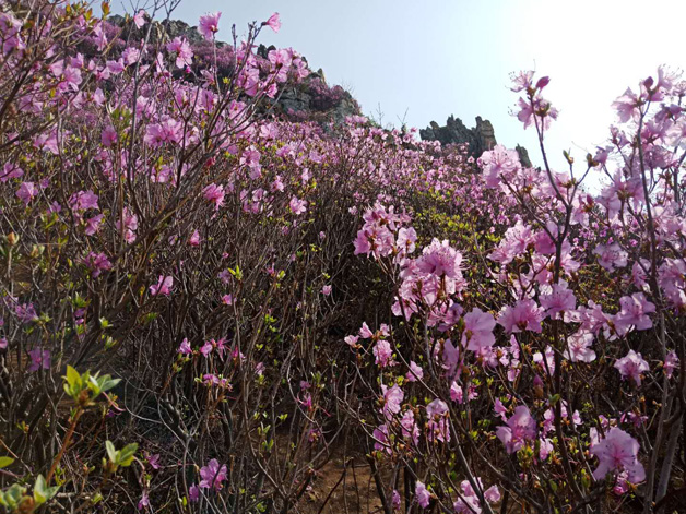 �°�ʤ���š�(�й���)�¹ٷ���վ