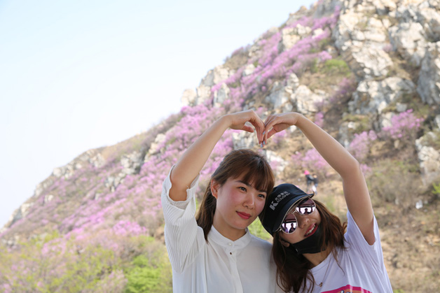 �°�ʤ���š�(�й���)�¹ٷ���վ