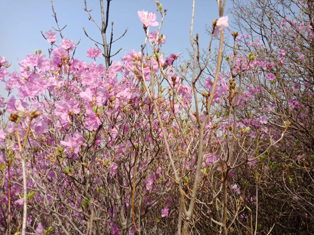 �°�ʤ���š�(�й���)�¹ٷ���վ